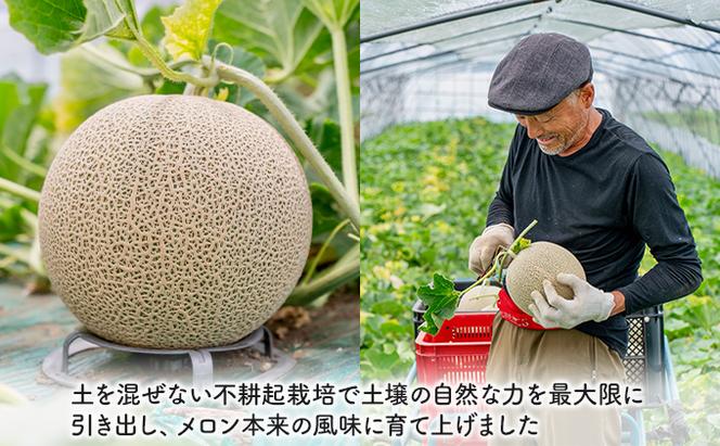 【2025年夏発送】北海道 富良野産 青肉メロン 2玉 1.4kg～1.8kgサイズ ふらの メロン ギフト 果物 青玉(榎本農園) メロン キングメルティ フルーツ 果物 新鮮 甘い 贈り物 ギフト 道産 ジューシー おやつ ふらの ブランド 夏