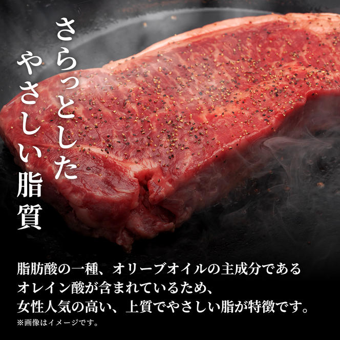 肉【和牛セレブ】能登牛 サーロインステーキ 240g サーロインステーキ 240g 黒毛和牛 サーロイン ステーキ 霜降り ギフト 石川県 能美市