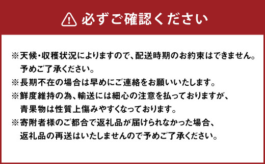 【2025年2月発送開始予定】さがほのか 約800g (約400g×2パック) いちご イチゴ 苺 フルーツ くだもの 果物 九州 宮崎 送料無料