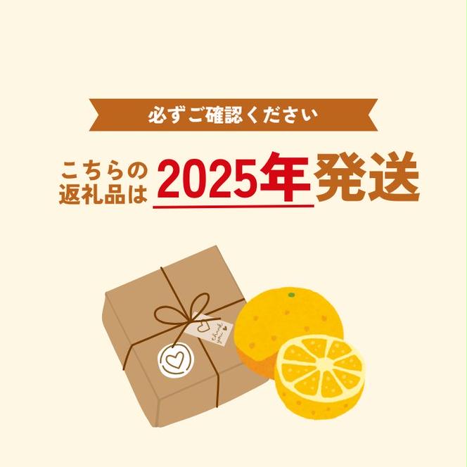 先行予約 訳あり 河内晩柑 3kg 5000円 お試し用 みかん わけあり かわちばんかん 愛南ゴールド あいなん ゴールド 夏 文旦 グレープフルーツ 和製 家庭用 少量 お試し 産地直送 国産 農家直送 期間限定 数量限定 先行 受付 事前 予約 ビタミン 健康 おいしい 特産品 ゼリー ジュース 人気 限定 さわやか 甘い フルーツ 果物 柑橘 蜜柑 規格外 吉田農園 愛南町 愛媛県