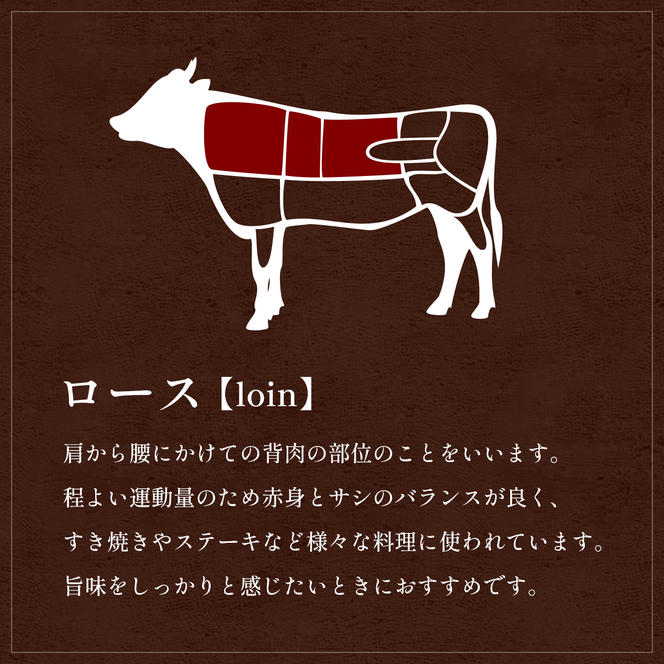 肉【和牛セレブ】能登牛 牛ロース すき焼き・しゃぶしゃぶ 250g ロース 黒毛和牛 霜降り ギフト 石川県 能美市