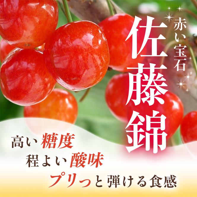 さくらんぼ 先行予約 農園厳選 佐藤錦 サクランボ Lサイズ以上 300g 品質：ギフト向け フルーツ チェリー 果物 ギフト 北海道 仁木町 仁木