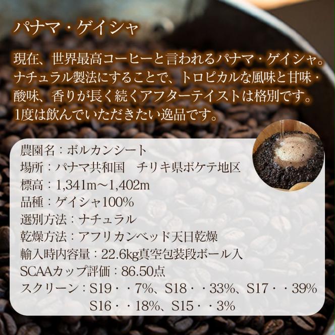 スペシャリティコーヒー（パナマゲイシャ200g）（粉） コーヒー 珈琲 自家焙煎  希少豆