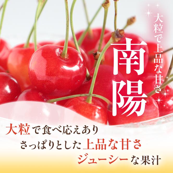 先行予約 農園厳選 さくらんぼ 南陽 2Lサイズ 以上300g（品質： ギフト 向け）