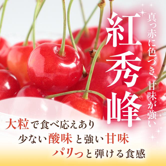 農園厳選 さくらんぼ 紅秀峰 2Lサイズ 以上300g（品質： ギフト 向け）