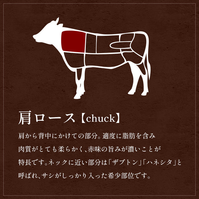 肉【和牛セレブ】能登牛 牛肩ロース すき焼き・しゃぶしゃぶ 500g 肩ロース 黒毛和牛 霜降り ギフト 石川県 能美市