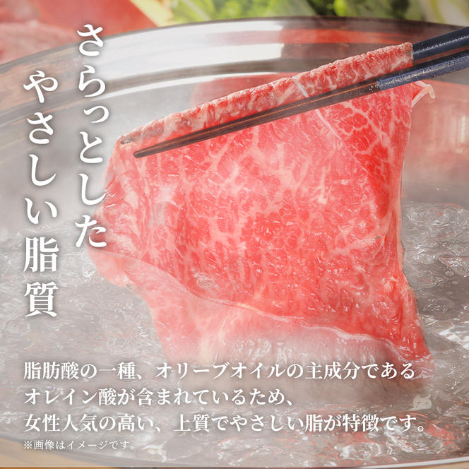 肉【和牛セレブ】能登牛　牛肩(うで) すき焼き・しゃぶしゃぶ 300g 黒毛和牛 霜降り ギフト 石川県 能美市