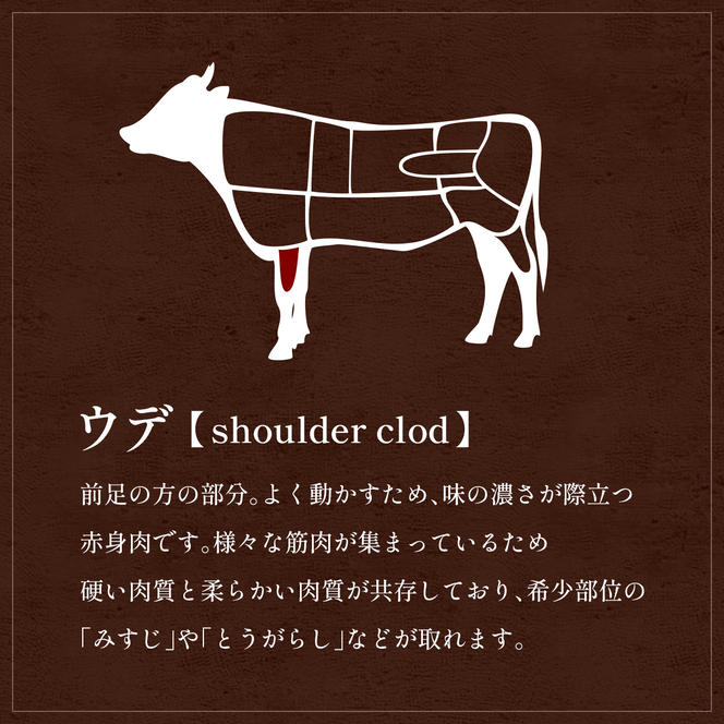 肉【和牛セレブ】能登牛　牛肩(うで) すき焼き・しゃぶしゃぶ 500g 黒毛和牛 霜降り ギフト 石川県 能美市