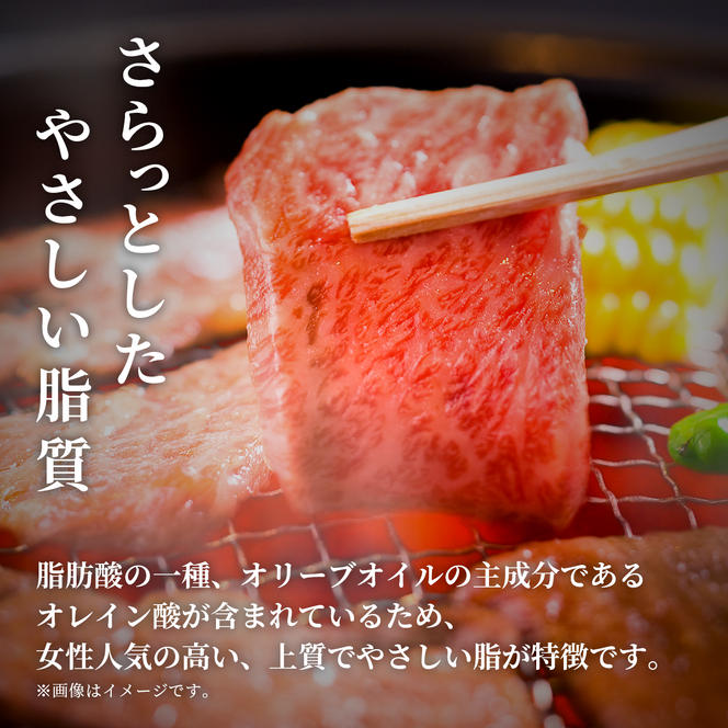 肉【和牛セレブ】能登牛 牛肩ロース 焼肉 250g 肩ロース 黒毛和牛 霜降り ギフト 石川県 能美市