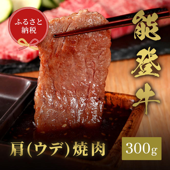 肉【和牛セレブ】能登牛　牛肩（ウデ） 焼肉 300g 黒毛和牛 霜降り ギフト 石川県 能美市