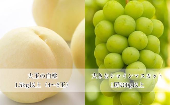 桃 ぶどう 【2025年 先行予約】 晴れの国 おかやま の 白桃 大玉 1.5kg以上(4～6玉) 大きな シャインマスカット 1房900g以上 マスカット ブドウ 葡萄  岡山県産 国産 フルーツ 果物 ギフト