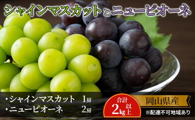 ぶどう 【2025年 先行予約】 シャインマスカット 1房 ニュー ピオーネ 2房 合計2kg以上 マスカット ブドウ 葡萄 岡山県産 国産 フルーツ 果物 ギフト