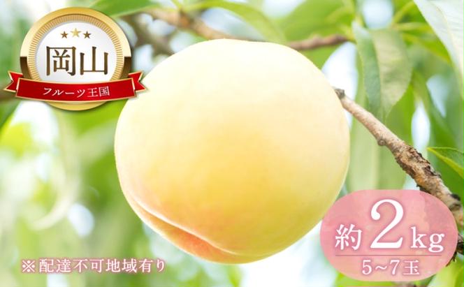桃 【2025年 先行予約】 晴れの国 おかやま の 白桃 2kg(5玉～7玉) もも モモ 岡山県産 国産 フルーツ 果物 ギフト