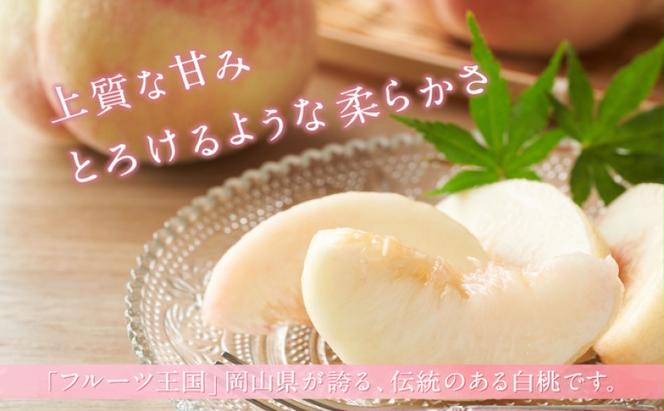 桃 【2025年 先行予約】 晴れの国 おかやま の 白桃 2kg(5玉～7玉) もも モモ 岡山県産 国産 フルーツ 果物 ギフト