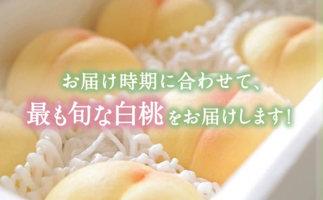桃 【2025年 先行予約】 晴れの国 おかやま の 白桃 2kg(5玉～7玉) もも モモ 岡山県産 国産 フルーツ 果物 ギフト