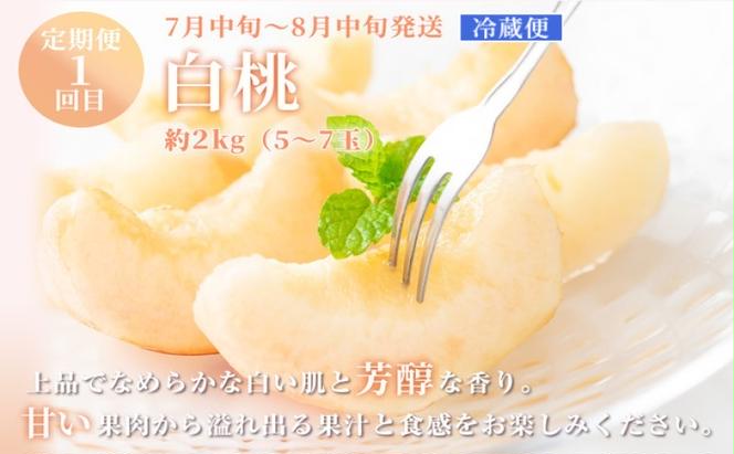 フルーツ 定期便 【2025年 先行予約】 晴れの国 おかやま の 白桃 2kg(5玉～7玉) シャインマスカット 4房(合計2.8kg以上) 岡山県産 国産 セット ギフト