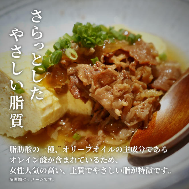 肉【和牛セレブ】能登牛 切り落とし 200g 黒毛和牛 霜降り ギフト 石川県 能美市