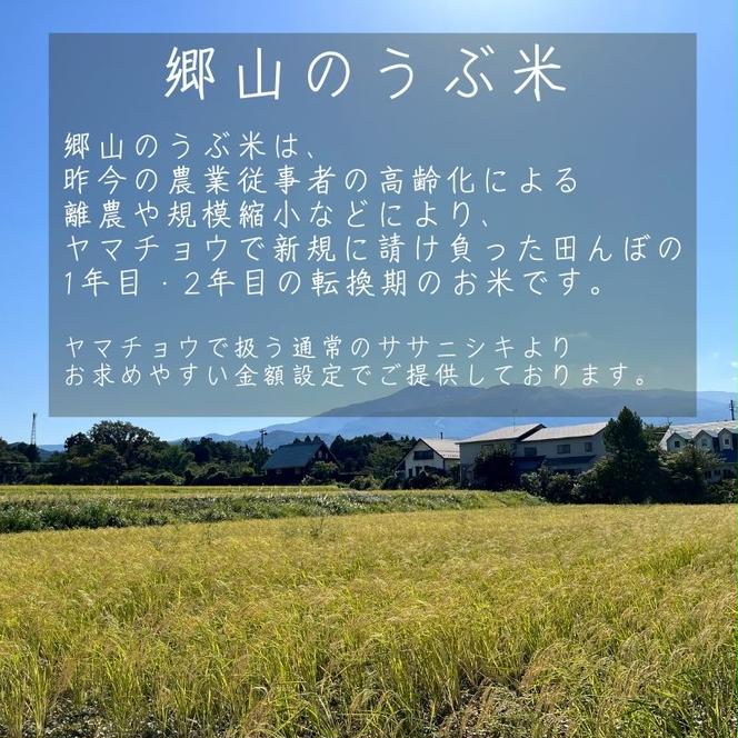 郷山のうぶ米 ササニシキ 精米 2kg 秋田県産 令和6年産