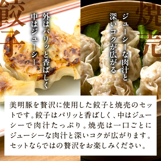 【2025年1月中旬より順次発送】焼売 餃子 美明豚「びめいとん」のジューシー焼売と餃子のアソート｜シュウマイ 焼売 しゅうまい 餃子 ぎょうざ ギョウザ 美明豚 びめいとん 肉 肉加工品 豚肉 お肉 ジューシー 先行予約 茨城県 行方市(HJ-3)