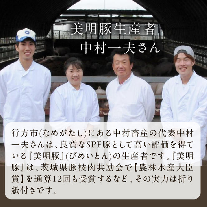 【2025年1月中旬より順次発送】焼売 餃子 美明豚「びめいとん」のジューシー焼売と餃子のアソート｜シュウマイ 焼売 しゅうまい 餃子 ぎょうざ ギョウザ 美明豚 びめいとん 肉 肉加工品 豚肉 お肉 ジューシー 先行予約 茨城県 行方市(HJ-3)