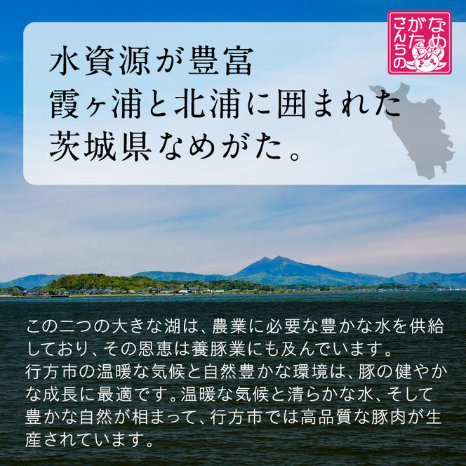 【2025年1月中旬より順次発送】焼売 餃子 美明豚「びめいとん」のジューシー焼売と餃子のアソート｜シュウマイ 焼売 しゅうまい 餃子 ぎょうざ ギョウザ 美明豚 びめいとん 肉 肉加工品 豚肉 お肉 ジューシー 先行予約 茨城県 行方市(HJ-3)