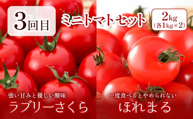 【2025年春～秋発送】北海道 定期便 4ヵ月 連続 全4回 ふらの産野菜セット富良野市 野菜 新鮮 直送 アスパラ とうもろこし ミニトマト ほれまる さくら じゃがいも 男爵 道産 ふらの 送料無料 数量限定 先着順