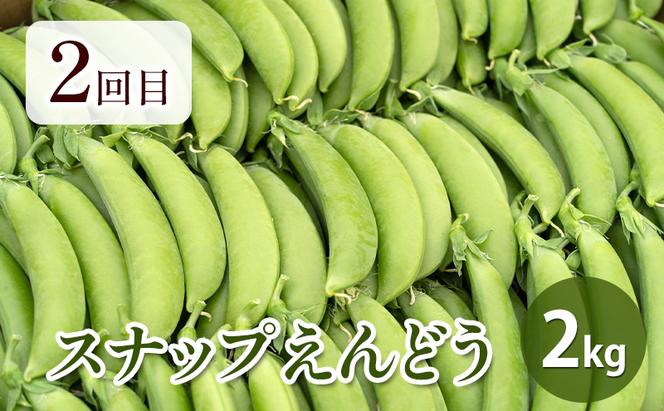 【2025年春～秋発送】北海道 定期便 6ヵ月 連続 全6回 ふらの産野菜セット富良野市 野菜 新鮮 直送 アスパラ スナップえんどう とうもろこし ミニトマト ほれまる さくら じゃがいも 男爵 たまねぎ 道産 ふらの 送料無料 数量限定 先着順