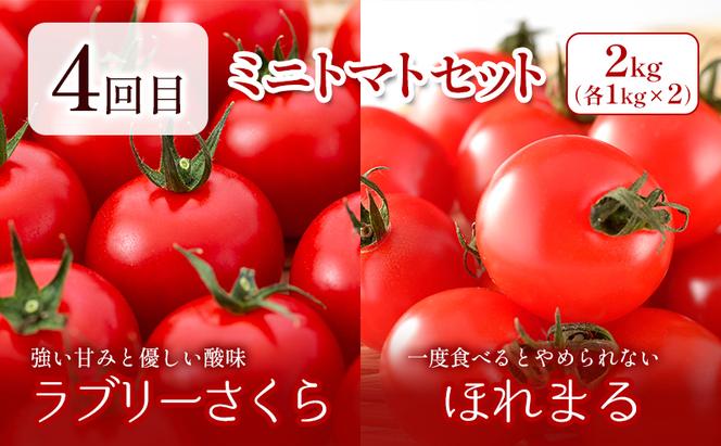 【2025年春～秋発送】北海道 定期便 6ヵ月 連続 全6回 ふらの産野菜セット富良野市 野菜 新鮮 直送 アスパラ スナップえんどう とうもろこし ミニトマト ほれまる さくら じゃがいも 男爵 たまねぎ 道産 ふらの 送料無料 数量限定 先着順