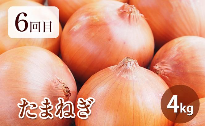 【2025年春～秋発送】北海道 定期便 6ヵ月 連続 全6回 ふらの産野菜セット富良野市 野菜 新鮮 直送 アスパラ スナップえんどう とうもろこし ミニトマト ほれまる さくら じゃがいも 男爵 たまねぎ 道産 ふらの 送料無料 数量限定 先着順