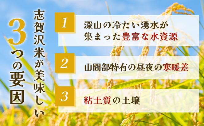 レトルト ササニシキ 志賀沢米レンジアップごはん24個セット 常温 常温保存 レトルト食品 パックご飯 パックごはん ごはん ご飯