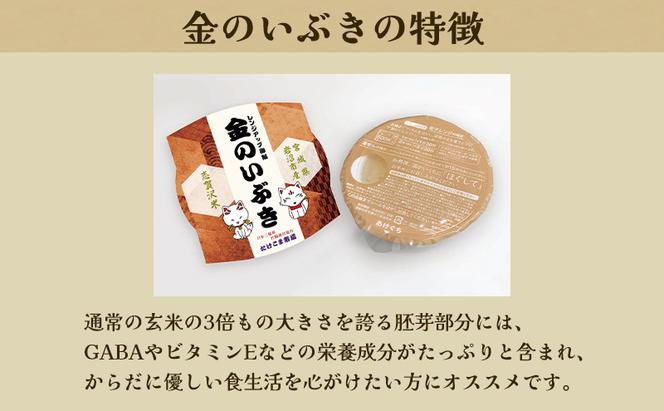 レトルト 金のいぶき 志賀沢米レンジアップごはん12個セット 常温 常温保存 レトルト食品 パックご飯 パックごはん ごはん ご飯