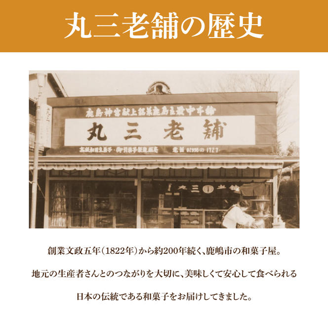 【丸三老舗】千年羊羹【ようかん 羊羹 大豆 だいず 甜菜糖 てんさい糖 和菓子 スイーツ 和スイーツ 茶菓子 お茶菓子 10000円以内 一万円以内 茨城県 鹿嶋市】（KF-17）