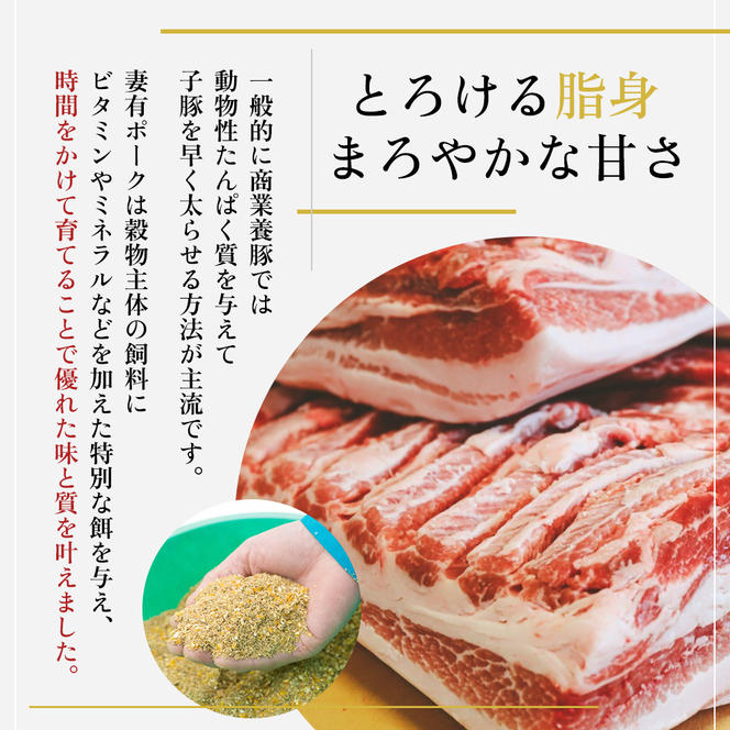 【魚沼銘柄豚】妻有ポーク焼き肉2種セット お肉 豚肉 スライス 詰め合わせ 焼肉セット 焼肉 新潟 