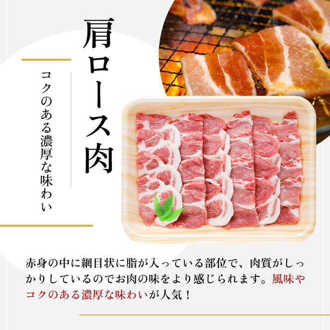 【魚沼銘柄豚】妻有ポーク焼き肉2種セット お肉 豚肉 スライス 詰め合わせ 焼肉セット 焼肉 新潟 