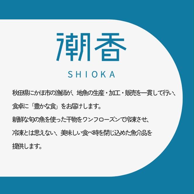 干物 鯵の干物 2枚 漁師直送 冷凍 ワンフローズン あじ 簡単調理