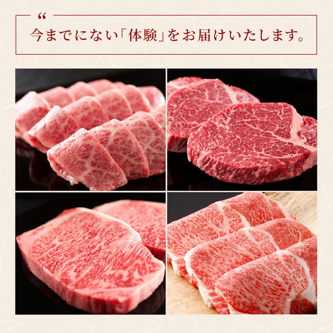 肉 【和牛セレブ】能登牛 一頭買い（一括配送）22個口 黒毛和牛 霜降り ギフト 石川県 能美市