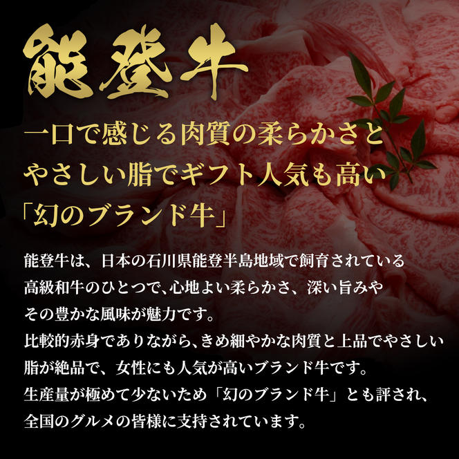 肉 【和牛セレブ】能登牛 一頭買い（12分割配送）2個口 黒毛和牛 霜降り ギフト 石川県 能美市