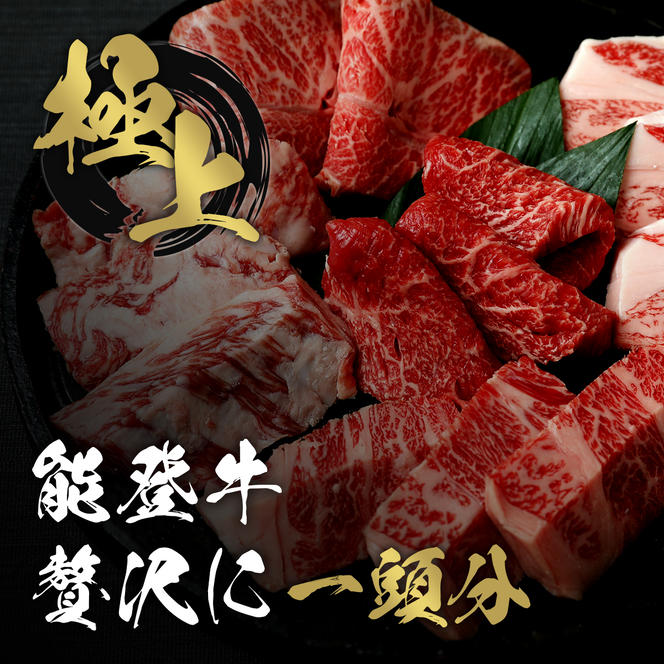 肉 【和牛セレブ】能登牛 一頭買い（12分割配送）2個口 黒毛和牛 霜降り ギフト 石川県 能美市