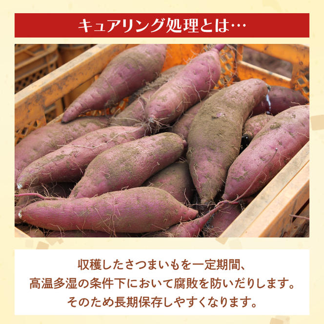 【2025年1月上旬より順次発送】茨城県産 紅はるか 訳あり サイズミックス　約5kg｜訳あり わけあり 訳アリ さつまいも サツマイモ さつま芋 紅はるか べにはるか 芋 いも 茨城県産 行方市(FU-1)