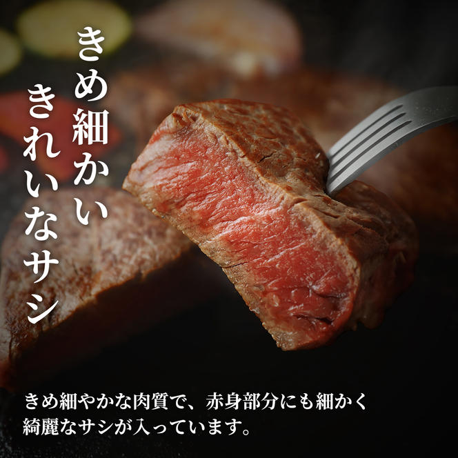 肉【和牛セレブ】能登牛 半頭買い（一括配送）11個口 黒毛和牛 霜降り ギフト 石川県 能美市