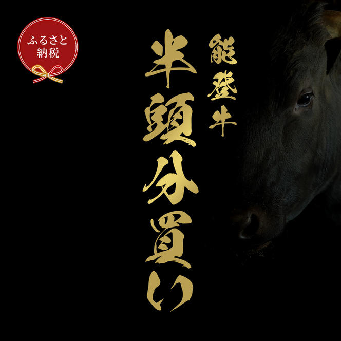 肉【和牛セレブ】能登牛 半頭買い（12分割配送）黒毛和牛 霜降り ギフト 石川県 能美市