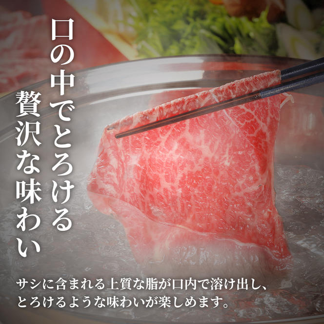 肉【和牛セレブ】能登牛 半頭買い（一括配送）11個口 黒毛和牛 霜降り ギフト 石川県 能美市