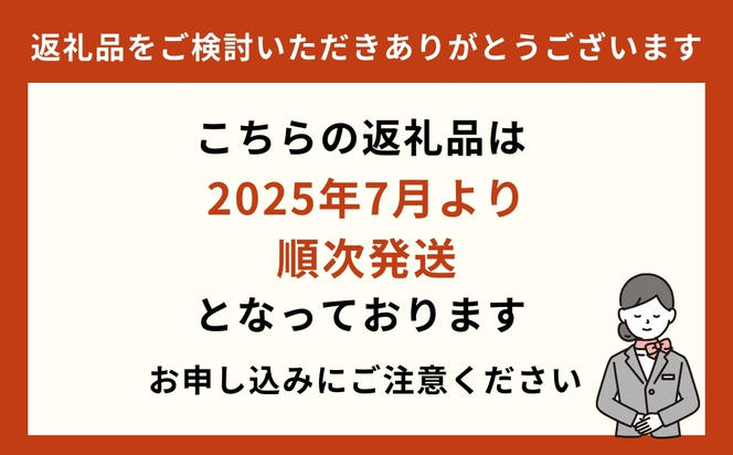 【7月発送】肉厚トビイカの天日干し　10枚セット【海市水産から直送】