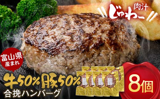 富山県産 牛50％ 豚50％ 合挽ハンバーグ 8個セット カシワファーム 和牛 牛肉 おかず 惣菜 時短 冷凍 富山県 立山町 F6T-553