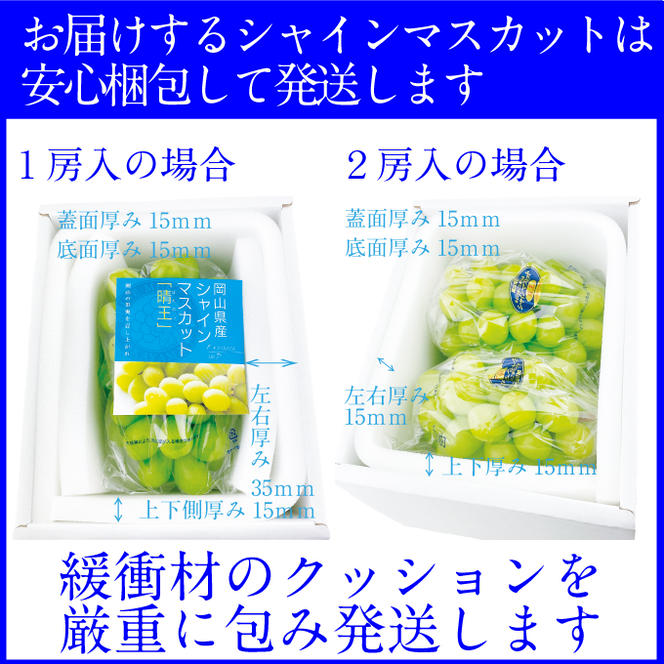 2025年予約受付中【2回定期便】 プレミアムシャインマスカット晴王 2房約1.4kg 人気 岡山県産 赤秀品 種無し 皮ごと食べる みずみずしい 9月・10月にお届け ハレノフルーツ