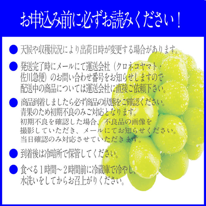 2025年予約受付中【2回定期便】 プレミアムシャインマスカット晴王 2房約1.4kg 人気 岡山県産 赤秀品 種無し 皮ごと食べる みずみずしい 9月・10月にお届け ハレノフルーツ