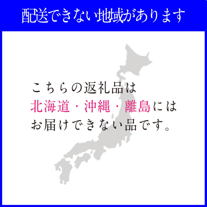 2025年予約受付中【2回定期便】 プレミアムシャインマスカット晴王 2房約1.4kg 人気 岡山県産 赤秀品 種無し 皮ごと食べる みずみずしい 9月・10月にお届け ハレノフルーツ