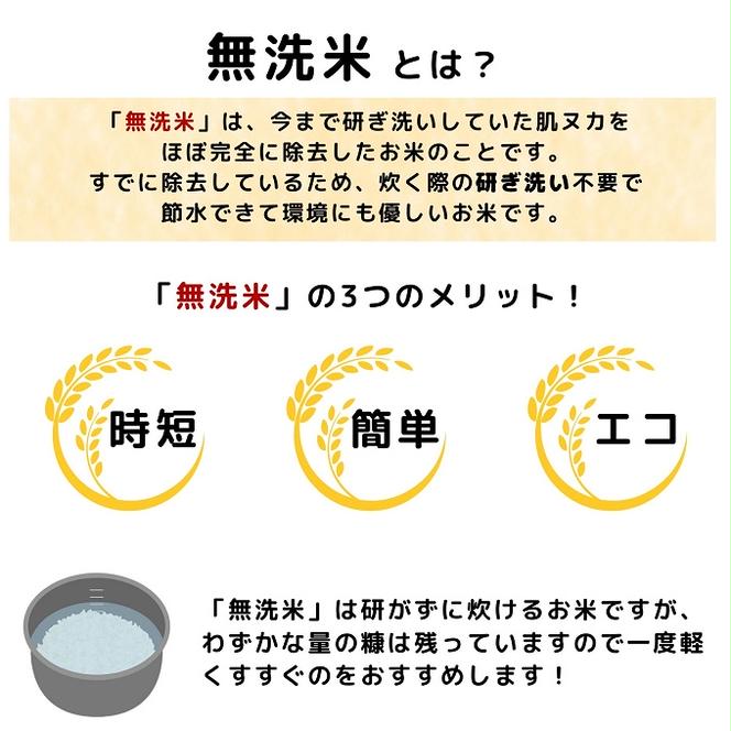 米 無洗米 令和6年産 特別栽培米コシヒカリ5kg×1 お米