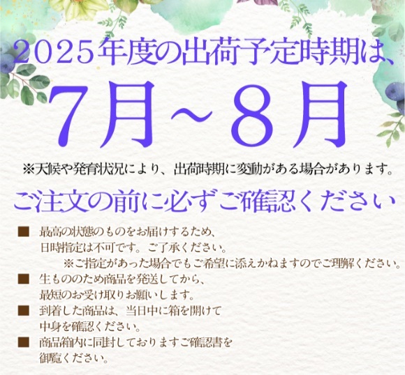 2025年予約受付中 シャインマスカット晴王1房 約700g 7月～8月出荷 人気 岡山県産 種無し 皮ごと食べる みずみずしい フレッシュ 晴れの国 おかやま 果物大国 ハレノフルーツ