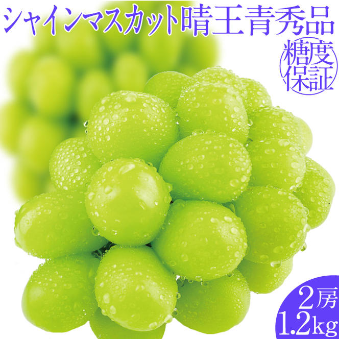 2025年予約受付中 シャインマスカット晴王2房 約1.2kg 7月～8月出荷 人気 岡山県産 種無し 皮ごと食べる みずみずしい フレッシュ 晴れの国 おかやま 果物大国 ハレノフルーツ